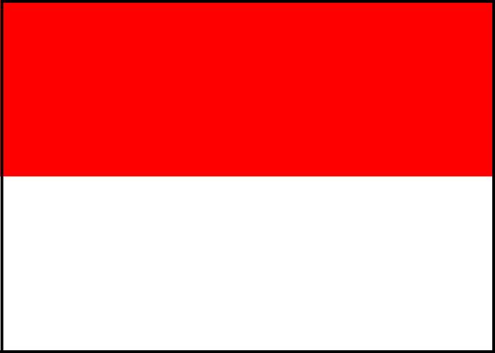 インドネシア便入荷情報