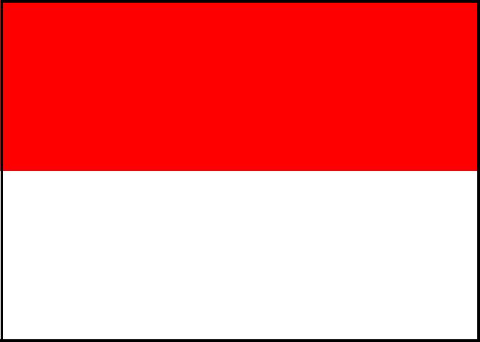 インドネシア便　新入荷情報！