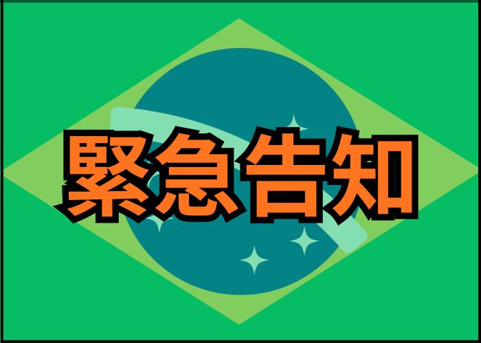 またまた入荷！【告知】オリジナルブラジル便